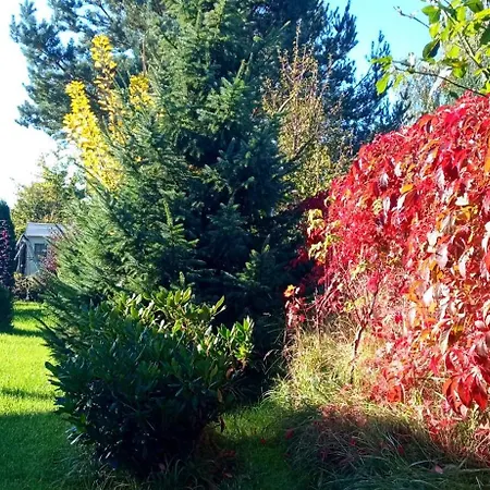 Na Ustroniu 山林小屋 萨希诺