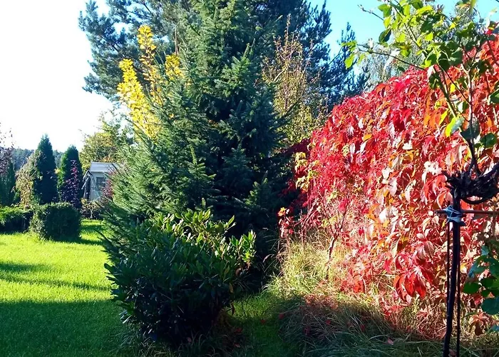 Na Ustroniu 山林小屋 萨希诺